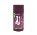 Salerm Proline 01 Volumen Dust 10 G