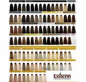Exitenn Couleur Creme 60ml, Couleur 11/01 Platinum Perle New 2