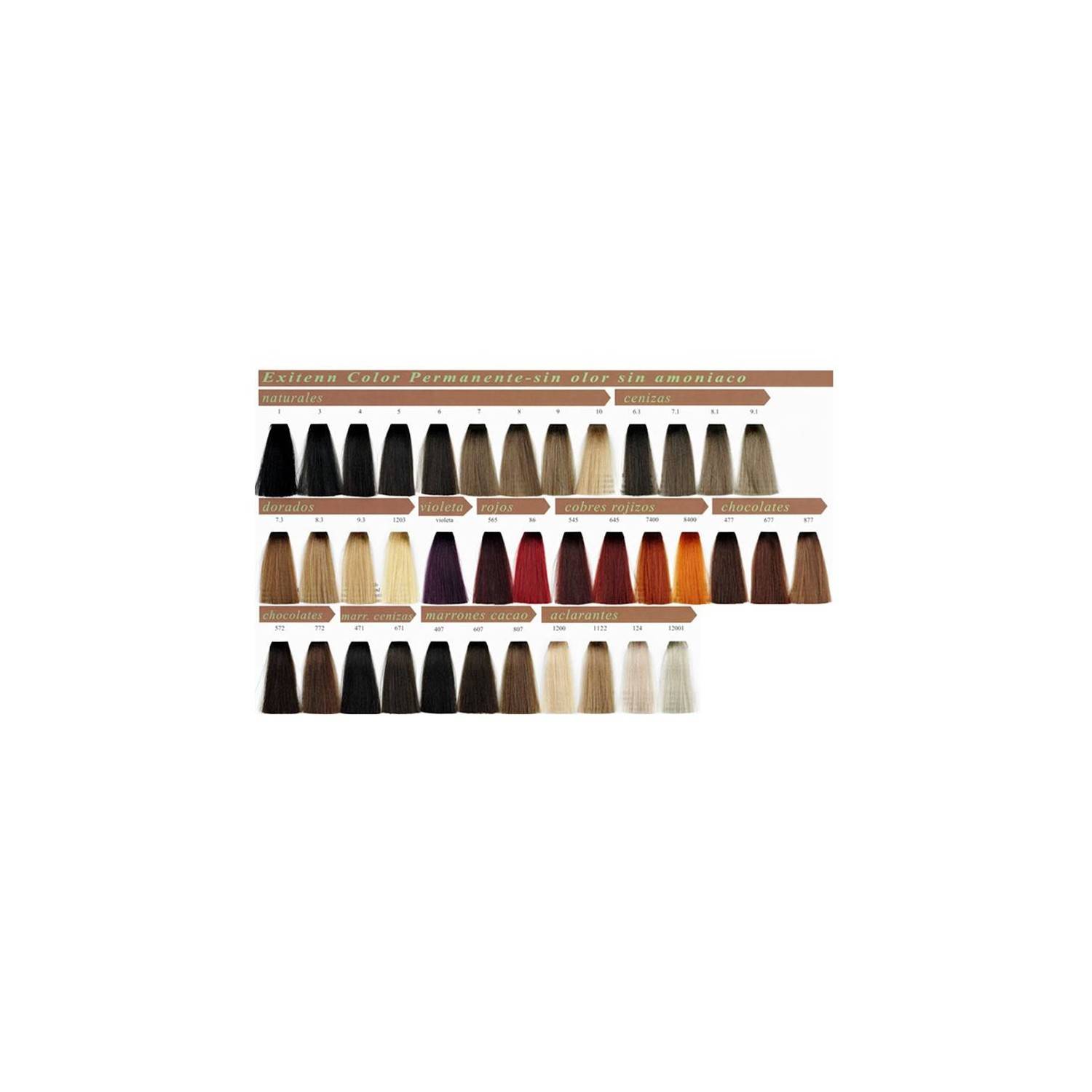 Exitenn Color Permanente 60ml, Cor 9