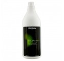 Loreal Inoa Post Xampu 1500 ml