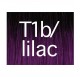 X-Pression T1B/Lilac (T1B/H-Parma)
