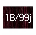 X-pression 1b/99j