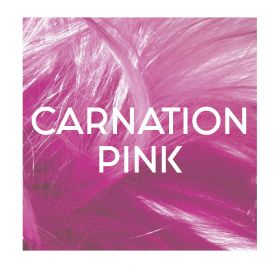 Directions Color Semi Permanent Carnation Pink