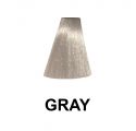Exitenn Fantasy Color Gris 100ml