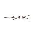 Xanitlia Pro Black Plastic Tweezers 11.5 cm. X6