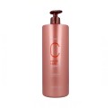 Risfort couleur Care Shampooing 1000 ml