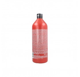 Redken Frizz Dismiss Shampooing 1000 ml 2
