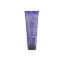 Redken Color Extend Blondage Mascarilla 250 ml