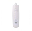 Everego Nourishing Spa Color Silver Mantain Mask 1000ML