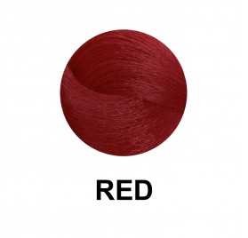 Dikson Color Writer Rojo/red 100 Ml