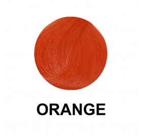 Dikson Color Writer Orange 100 Ml