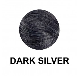 Dikson Color Writer Dark Silver 100 ml 2