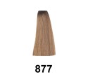 Exitenn Color Permanente Cor 877 60 ml