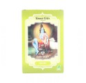 Radhe Shyam Henna Poudre Neutre 100 gr