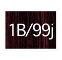 X-pression 1b/99j