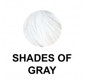 Farouk Chi Chroma Shine Shades Of Gray 118 ml