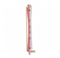 Xanitalia Pro 12 Long Plastic Curlers 7 mm