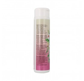 Novex Coconut Oil Condicionador 300 ml 2