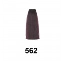 Exitenn Color Creme 60ml, Cor 562 Amexia