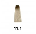 Exitenn Couleur Creme 60ml, Couleur 11 /1 Ash Brillante