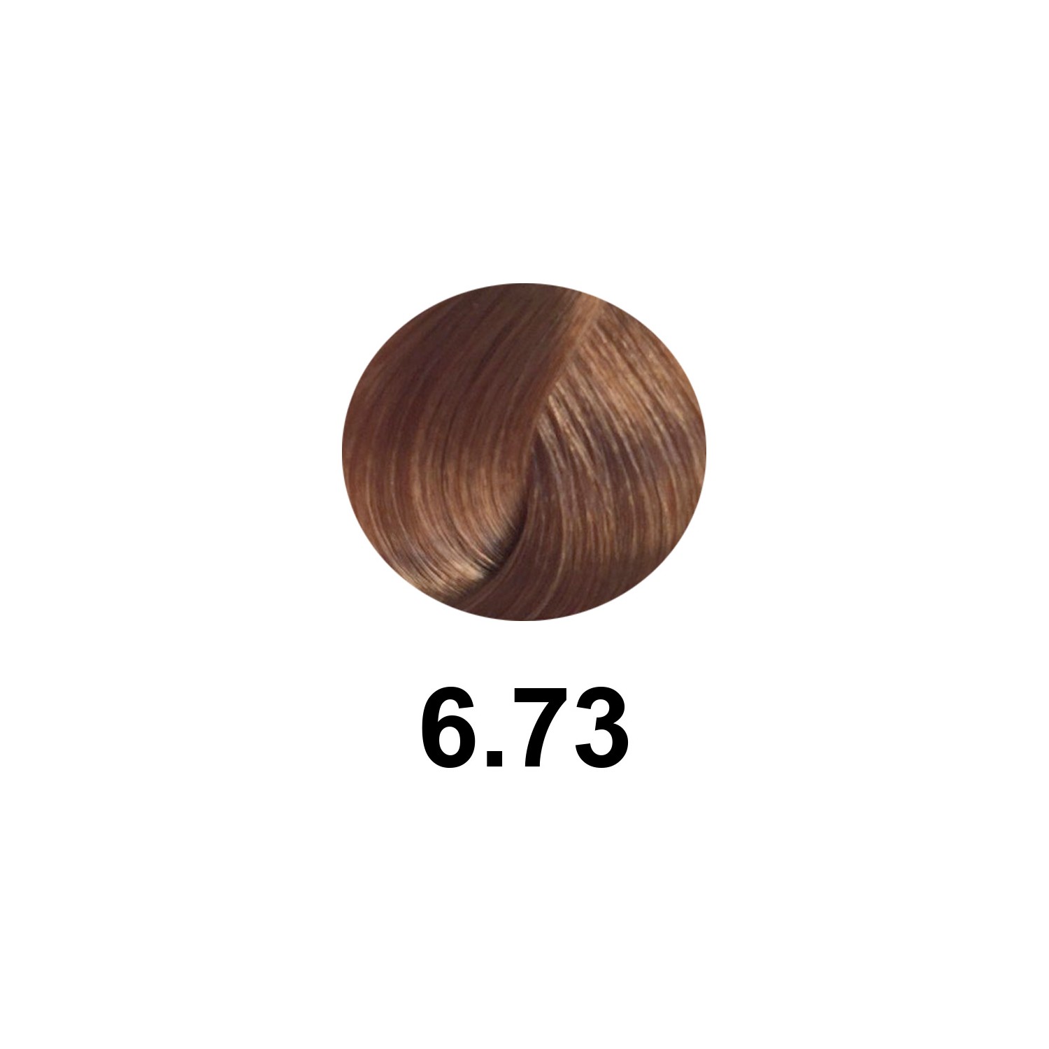 Salerm Salermvison 75ml, Couleur 6,73