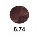 Salerm Salermvison 75ml, Couleur 6,74