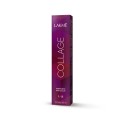 Lakme Collage Color 6/13 60 ml