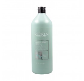 Redken Amino Menthe Shampoing 1000ml