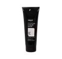 Dikson Prime Hair Color Silver Masque 250 ml