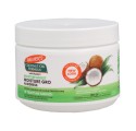Palmers Coconut Oil Moisture Gro 250g (2370-6)