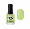 Mollon Pro Hardening Nail Lacquer 15 Ml 231
