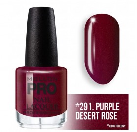 Vernis à Ongles Durcissant Mollon Pro 15 Ml 291