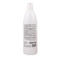 Dikson Promaster Argan Color Protective Champú 1000 ml