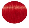 Schwarzkopf Igora Chroma Id Cm Color Red 300 ml