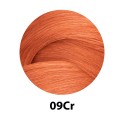 Redken Shades Eq Gloss Color Bonder inside 09Cr 60 ml