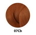 Redken Shades Eq Gloss Color Bonder intérieur 07Cb 60 ml