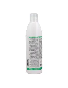 Hairconcept Tratamiento Rizz Champú 300 ml 2