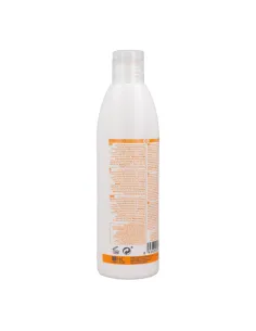 Hairconcept Elite Pro Tratamiento Color Champú 300 ml 2