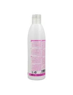 Hairconcept Elite Pro Tratamiento Liss Champú 300 ml 2