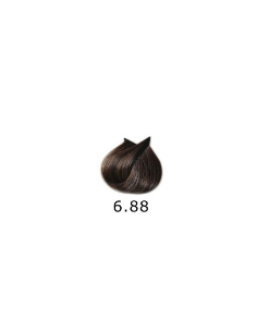 Saga Nysha Color Pro 100 ml Color 6.88 2