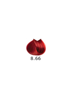 Saga Nysha Color Pro 100 ml Colore 8.66 2