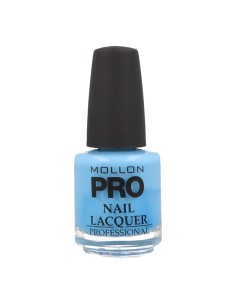 Smalto per unghie indurente Mollon Pro 15 ml 189