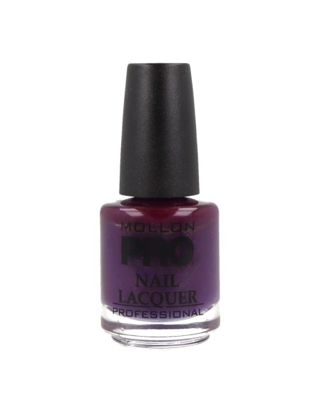 Smalto per unghie indurente Mollon Pro 15 ml 292