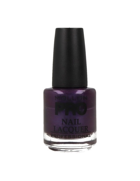 Smalto per unghie indurente Mollon Pro 15 ml 293