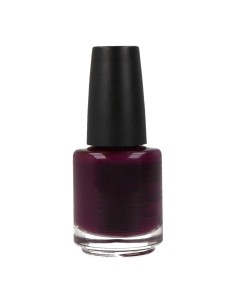 Smalto per unghie indurente Mollon Pro 15 ml 016 2