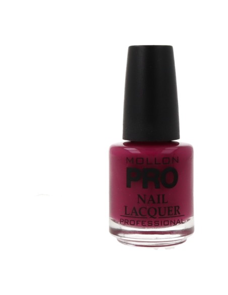 Smalto per unghie indurente Mollon Pro 15 ml 014