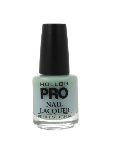 Vernis à ongles durcissant Mollon Pro 15 Ml 338